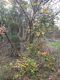 20230109_090327.jpg