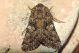 DSCN9179.JPG