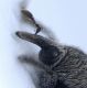Experiment-531-Extended Depth of Focus-21.jpg