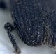 Experiment-532-Extended Depth of Focus-22.jpg