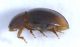 Experiment-477-Extended Depth of Focus-12.jpg
