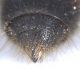 Experiment-549-Extended Depth of Focus-14.jpg