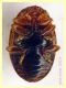 Rhyzobius litura dai 2 ai 3 mm. - Ariccia 26.1.2023 -  (5).JPG