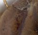 Experiment-614-Extended Depth of Focus-02.jpg
