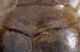 Experiment-615-Extended Depth of Focus-03.jpg