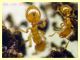 Solenopsis fugax  circa 1,5 mm. - Caffarella 1.12.2022 - (37).JPG