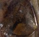 Experiment-654-Extended Depth of Focus-01.jpg