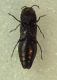 2-P1010067-okIT.jpg
