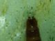 IMG_20230222_134655_1_compress81_resize_6.jpg