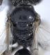 Experiment-965-Extended Depth of Focus-11.jpg