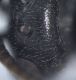 Experiment-1010-Extended Depth of Focus-02.jpg