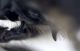 Experiment-1018-Extended Depth of Focus-10.jpg