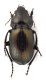 Comb3872Bcr-22L6.jpg