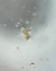 Screenshot_20230422-213650_Gallery.jpg