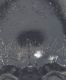 Experiment-1092-Extended Depth of Focus-03.jpg