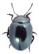 Comb3923rc-44L6.jpg