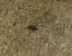 DSC_0002-B.jpg