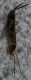 DSC01914ridotta.jpg