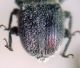 DSC00715.JPG