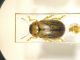 IMG_20230701_170735_compress6_resize_32.jpg