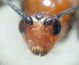 DSC00779.JPG
