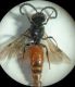 DSC01084.JPG