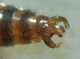 DSC01096.JPG