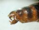 DSC01098.JPG