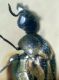 DSC01100.JPG