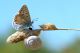 0 DSC_8640.jpg