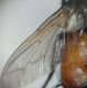 DSC01335.JPG