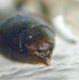 DSC01438.JPG