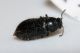 P4 - T - P - 11 V 2023 (3)B.jpg