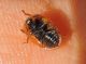 DSCN9905.JPG