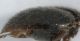 Experiment-1681-Extended Depth of Focus-02.jpg