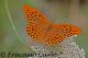Immagine-042.jpg