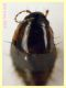 messo cosi' 2 mm. - (74).JPG