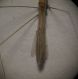 img5253pt6.jpg