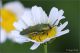 4D9A9536-OGf.jpg