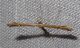 DSC03042 ridotta.jpg