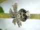 emittero Arsego 22.07,24 su Photinia cf Ricania speculum-0003 mod.jpg