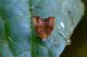 DSC_2139-SharpenAI-Standard.jpg