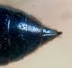 DSC02756.JPG