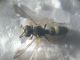 DSCN2518.JPG