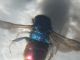 DSCN2556.JPG