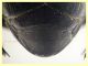 Pactolinus major 12 mm senza fauci - Ponza sp 134 - 11.9.2024 - (125).JPG