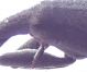 P1010468-Ritagl2.JPG
