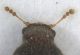 Experiment-3102-Extended Depth of Focus-03.jpg