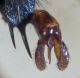 DSC03184.JPG