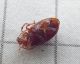 P1020121-Ridim.JPG